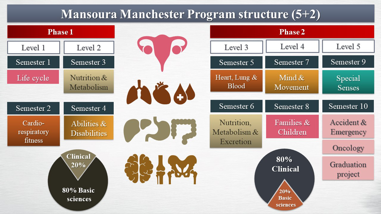 system of study